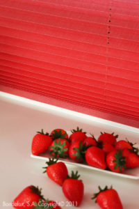Installation brise soleil orientable Valence